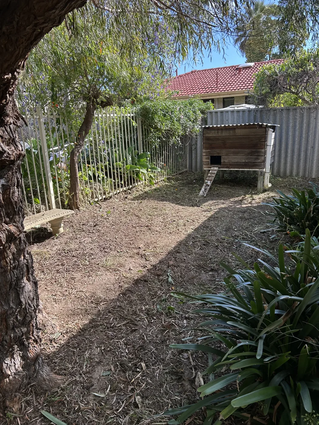 After garden clean-up: overgrowth cleared around established plants and exposed garden soil