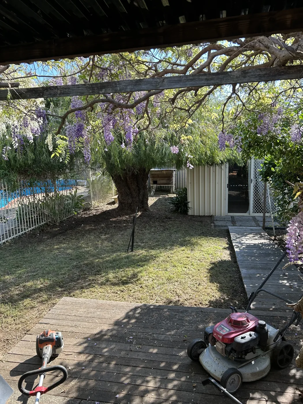 After lawn maintenance: lawn and patio beneath the pergola, with mowing equipment on the paving