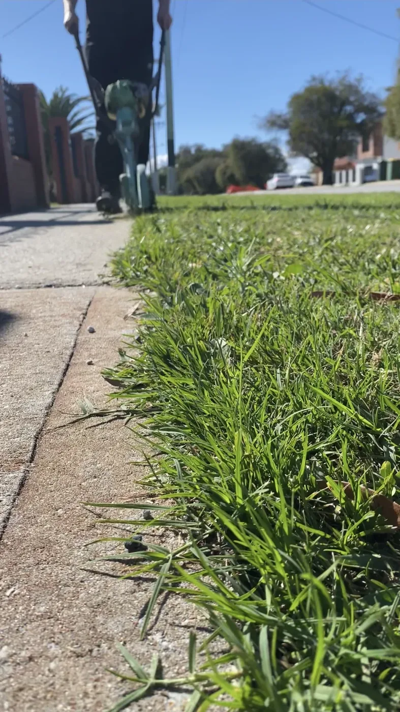 Close view of the lawn edge along paving, with mowing equipment in the background